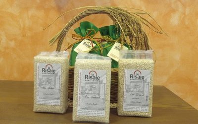 VENDITA PRODOTTI AGRICOLI E ATTIVITA’ CON ANIMALI