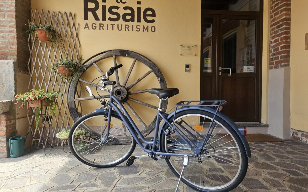 Free bike