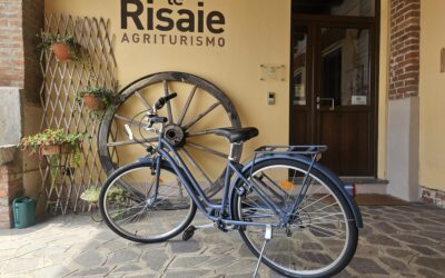 Free bike